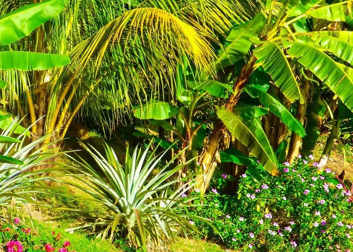 Villa Mouggae Blues Beau Vallon (Mahe)